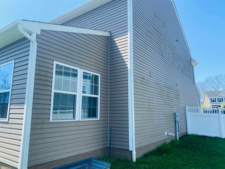 What is growing on your siding and how to stop it
